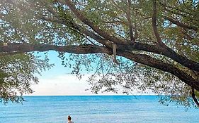 Wilson'S Retreat